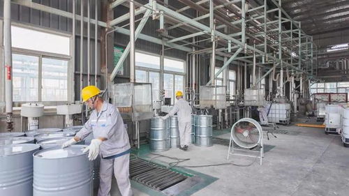 年產34800噸日用百貨改擴建項目9月試生產，助推濱海產業升級